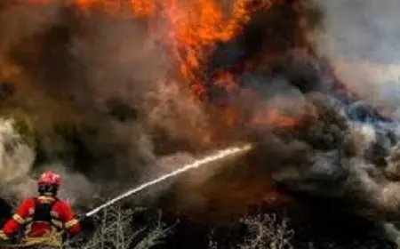 موجة الحر تشعل عدة حرائق في جنوب أوروبا