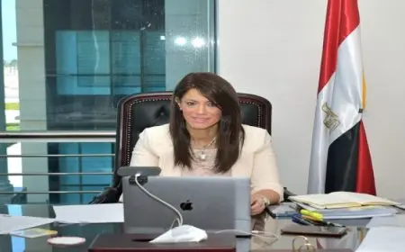 المشاط: مصر وأفريقيا يجمعهما تاريخ مشترك وتعاون بناء في العديد من المجالات