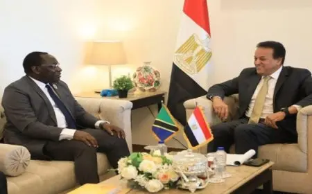 خالد عبدالغفار يستقبل سفير دولة تنزانيا لبحث التعاون في دعم القطاع الصحي بتنزانيا