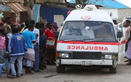 الشرطة الصومالية تعلن ارتفاع حصيلة الهجوم على شاطئ مقديشو إلى 32 قتيلًا و63 جريحًا