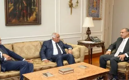 وزير الخارجية يبحث مع وفد من غرفة التجارة الأمريكية بالقاهرة العلاقات الثنائية