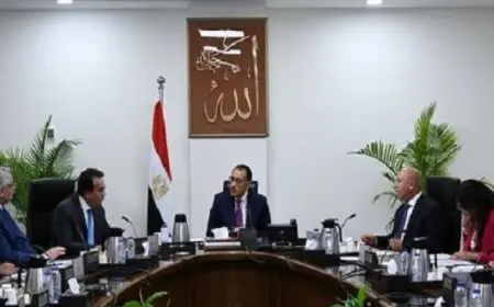 رئيس الوزراء يتابع إجراءات حوكمة منظومة توزيع ألبان الأطفال الصناعية المدعمة