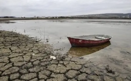 موجة جفاف شديدة تجتاح رومانيا جراء ارتفاع درجات الحرارة