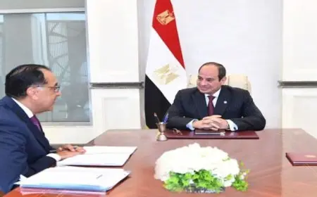 الرئيس السيسي يؤكد دعم الدولة للقطاع الخاص المصري والأجنبي لزيادة الاستثمارات الصناعية