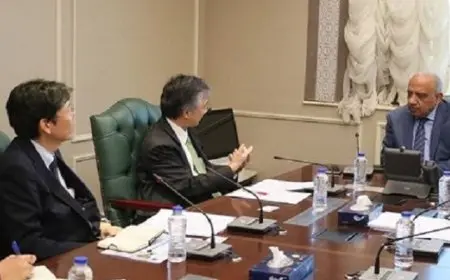 وزير الكهرباء يبحث مع سفير اليابان التعاون في مشروعات الطاقة