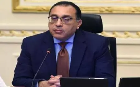 رئيس الوزراء يتابع موقف مشروعات الهيدروجين الأخضر