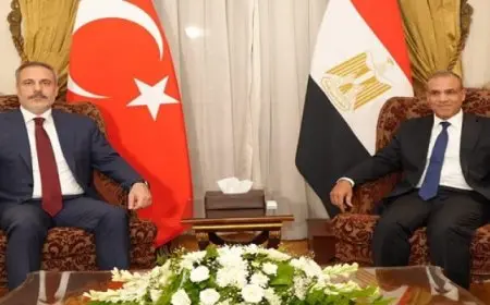 وزير الخارجية: مصر الشريك التجاري الأول لتركيا في القارة الإفريقية