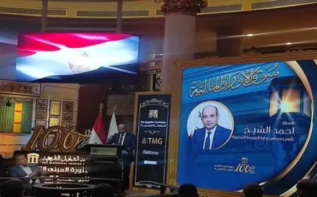 وزير الخارجية : الدبلوماسية الاقتصادية هي مفتاح تعزيز مكانة مصر