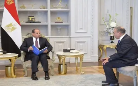 الرئيس السيسي يثمن جهود اللجنة العليا الدائمة لحقوق الإنسان