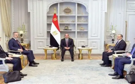 الرئيس السيسي يشدد على ضرورة الدفع بحل جذري وشامل للقضية الفلسطينية