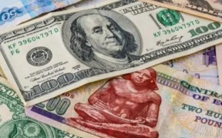 الدولار يتراجع 31 قرشًا أمام الجنيه بالبنوك خلال التعاملات الصباحية