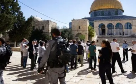 مستوطنون يقتحمون المسجد الأقصى.. “الاحتلال الإسرائيلي” يعتقل 9 فلسطينيين