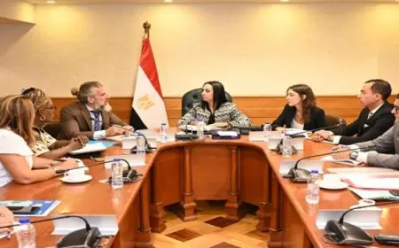 وزيرة التضامن الاجتماعي تلتقي ممثل منظمة الأمم المتحدة للطفولة في مصر” اليونيسف ” لبحث سبل التعاون المشترك