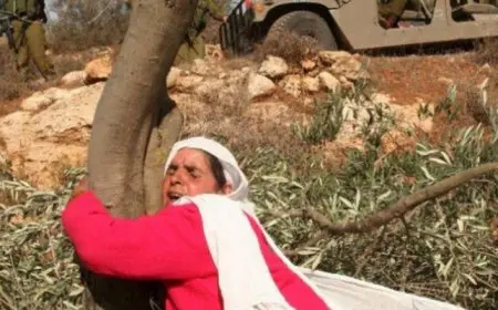 الأمم المتحدة: قتل الفلسطينيين وتهجيرهم بالضفة مستمر بلا هوادة