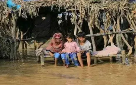 الصحة العالمية: الفيضانات الشديدة في اليمن تتسبب في جرف إحدى القرى بالكامل