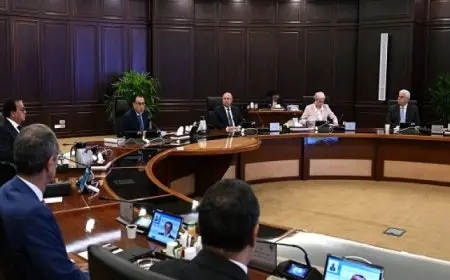 خلال اجتماع الحكومة.. مدبولي: توجيهات رئاسية بمواصلة الجهد المُكثف للحكومة لتعزيز توطين الصناعات الواعدة