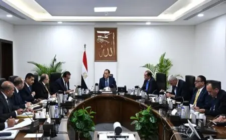 رئيس الوزراء يتابع جهود توفير الأدوية والمستلزمات الطبية ومشكلة النواقص في سوق الدواء