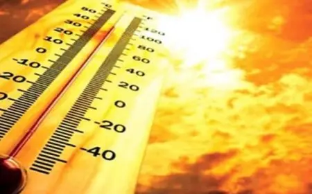 الأرصاد: طقس شديد الحرارة وأمطار أقصى الجنوب.. والعظمى بالقاهرة 36 درجة