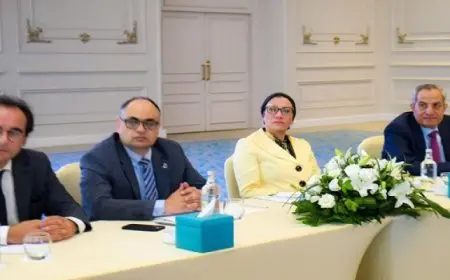 بال .. وزيرة البيئة تترأس الاجتماع الثاني للجنة تسيير مشروع تحويل الأنظمة المالية المتعلقة بالمناخ في مصر