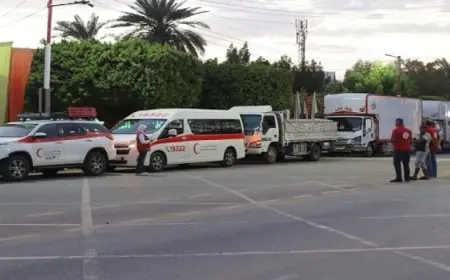 وزيرة التضامن تشكل غرفة عمليات لمتابعة تداعيات تقلبات الطقس في عدد من المحافظات