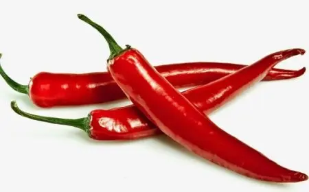 دراسة: مكون في الفلفل الحار يحميك من أمراض القلب والسرطان والسمنة