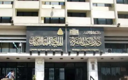 دار الكتب والوثائق تحتفل باليوم العالمى للشباب الإثنين