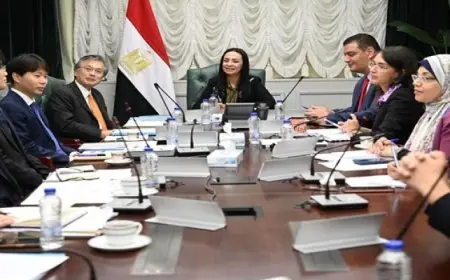 وزيرة التضامن الاجتماعي تستقبل سفير اليابان بالقاهرة لبحث التعاون بين الجانبين