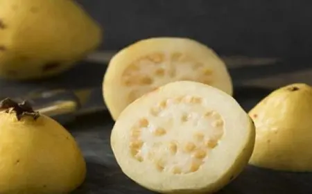 الجوافة.. فوائدها الصحية لطفلك تجعلها أساسية فى نظامه الغذائى