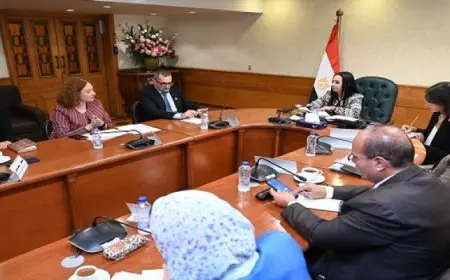 وزيرة التضامن تلتقي المدير القطري لهيئة إنقاذ الطفولة ويبحثان تعزيز أوجه التعاون في الخدمات