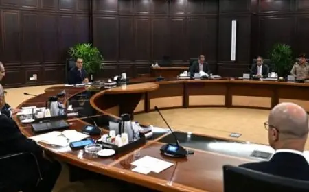 رئيس الوزراء: نسعى لتوطين صناعة الهواتف المحمولة في مصر