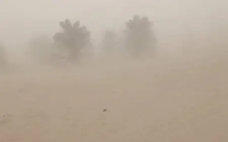 عواصف ترابية شديدة تضرب شرق العوينات وتحجب الرؤية بالوادى الجديد