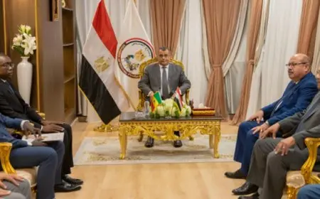 وزير الدولة للإنتاج الحربي يلتقي السفير السنغالي بمصر لبحث ودعم أوجه التعاون المشترك