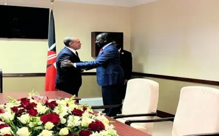 رسالة شفهية من الرئيس السيسي إلى الرئيس الكيني ينقلها وزير الخارجية