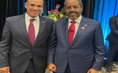 وزير الخارجية يلتقي رئيس الصومال ويعرب عن تطلع مصر للاستمرار في تعزيز العلاقات الثنائية