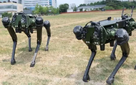 كوريا الجنوبية تختبر إمكانية نشر “روبوت متعدد الأرجل” لمكافحة الإرهاب