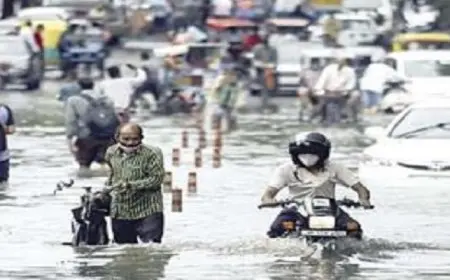 مصرع 30 شخصا وفقدان 8 جراء الأمطار الغزيرة شمال الهند