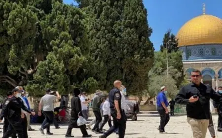 مئات المستوطنين يقتحمون “الأقصى” بحماية شرطة الاحتلال الإسرائيلي