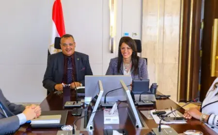 المشاط تتابع مع محافظ جنوب سيناء مشروعات الخطة الاستثمارية بالمحافظة