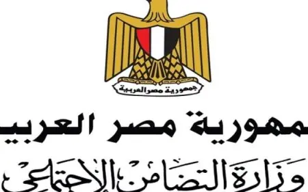 وزيرة التضامن توجه فريق التدخل السريع بالتعامل مع عدد من الحالات بلا مأوى بالمحافظات