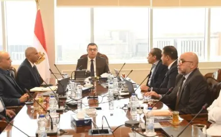 وزير الإسكان يستعرض الرؤى والمقترحات لتعظيم دور شركة سيتي إيدج فى مجال التطوير والتسويق العقاري