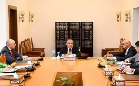 وزير الخارجية يجتمع بالقيادات المعنيين بالتحول الرقمي للخدمات القنصلية