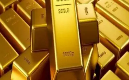 وزير الدولة للإنتاج الحربي يشدد على الاستغلال الأمثل لأصول الشركات