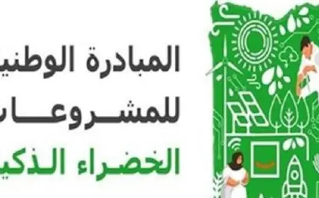 استمرار التقدم لمسابقة المبادرة الوطنية للمشروعات الخضراء مستمر لنهاية أغسطس