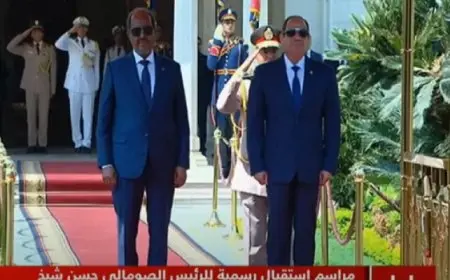 الرئيس السيسي يؤكد موقف مصر الداعم لوحدة وسيادة الصومال على أراضيه