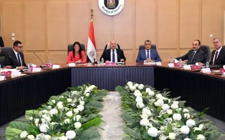 كامل الوزير يترأس المجموعة الوزارية للتنمية الصناعية بحضور ممثلي شعبتي السيراميك والسيارات باتحاد الصناعات