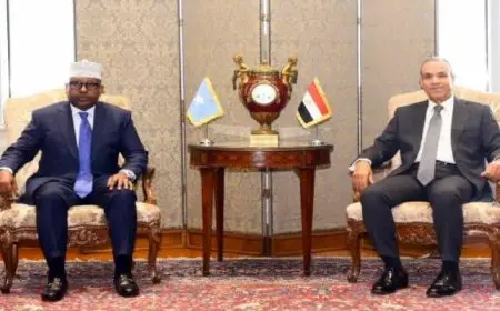 وزيرالخارجية:ندعم وحدة وسيادة الصومال على أراضيه ونرفض أي تدخل بشئونه الداخلية