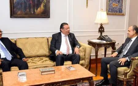 وزير الخارجية يستقبل وفد لجنة العلاقات الخارجية بمجلس الشيوخ