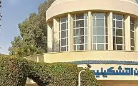 انتخابات نقابة الفنانين التشكيليين ومناقشة الميزانية اليوم