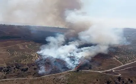 استشهاد لبناني وإصابة آخر في غارات إسرائيلية على جنوب لبنان