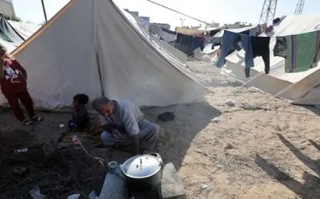 مرض خطير يدفع الأمم المتحدة لطلب الهدنة في غزة